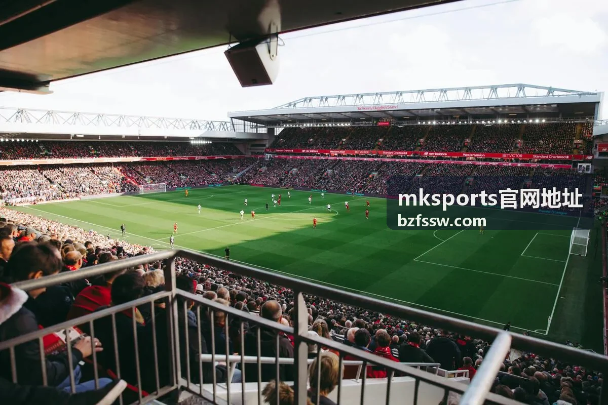 mksports官网地址历史对阵检索预览图