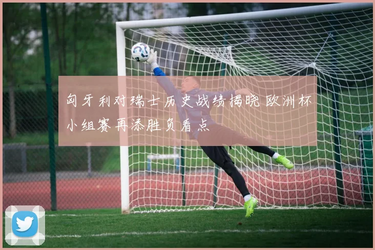 匈牙利对瑞士历史战绩揭晓 欧洲杯小组赛再添胜负看点