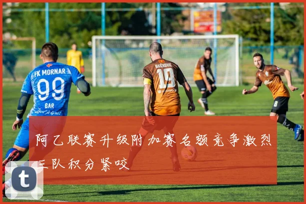 阿乙联赛升级附加赛名额竞争激烈三队积分紧咬