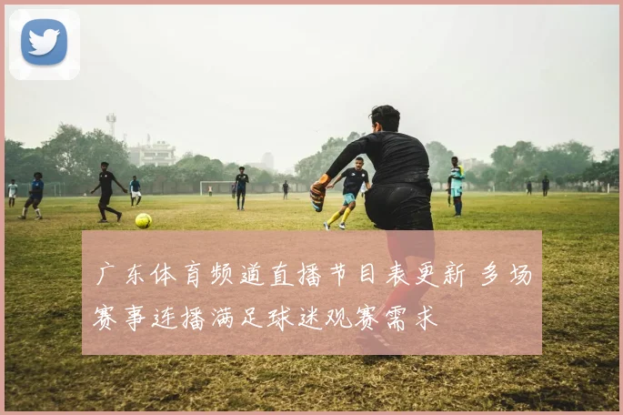 广东体育频道直播节目表更新 多场赛事连播满足球迷观赛需求