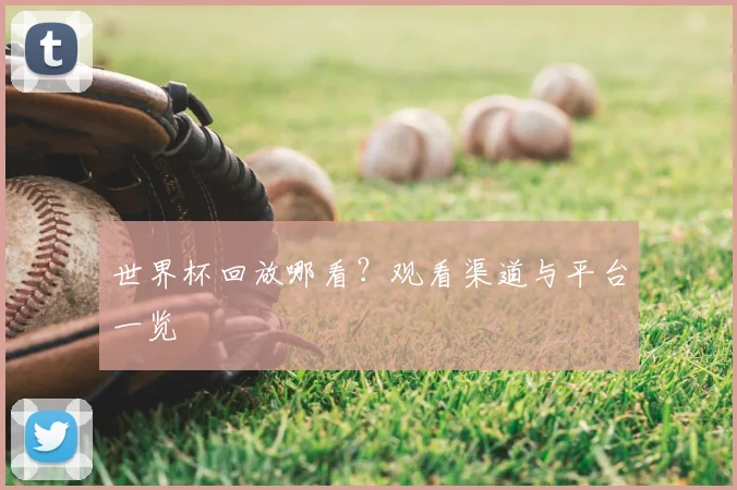 世界杯回放哪看？观看渠道与平台一览