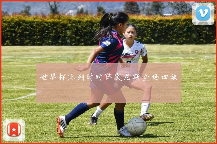 世界杯比利时对阵突尼斯全场回放
