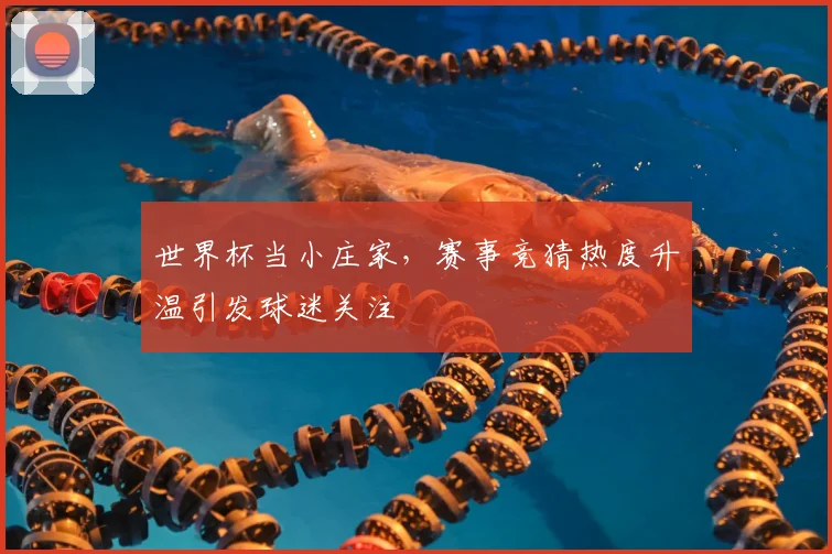 世界杯当小庄家,赛事竞猜热度升温引发球迷关注